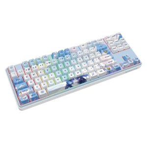 کیبورد گیمینگ بی سیم مکانیکال ردراگون مدل K707 AK PRO RGB
